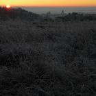 Mit diesem Sonnenuntergang von gestern über Leonberg in der Oberpfalz bei Raureif ...