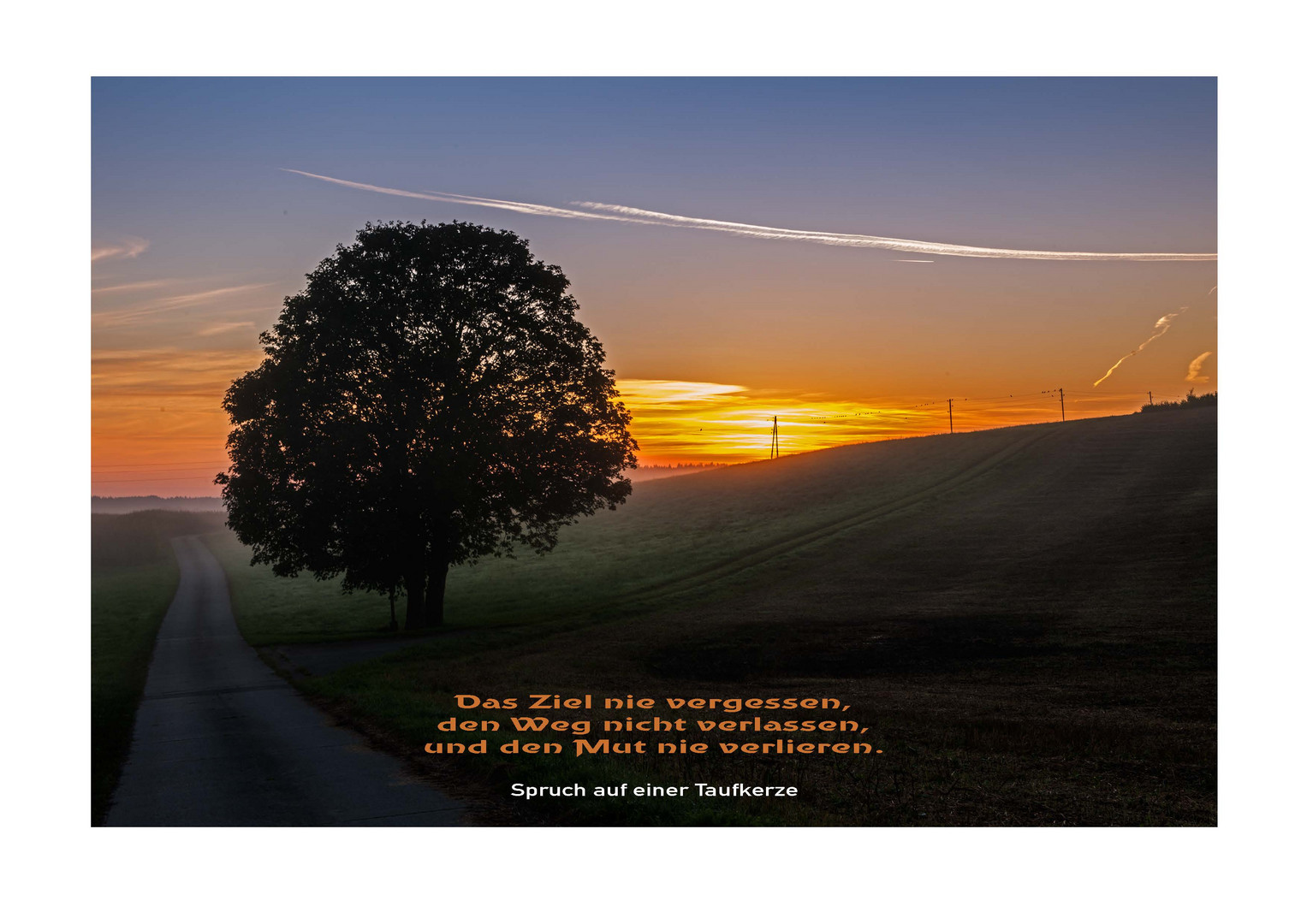 Mit diesem Spruch wünsche ich euch einen schönen Sonntag Foto & Bild