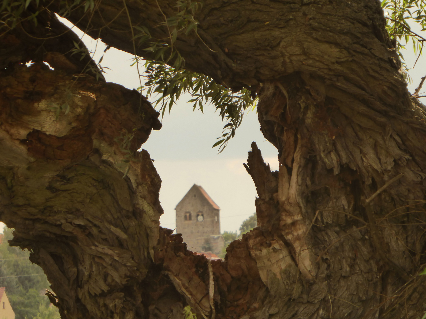 Mit Durchblick auf unsere Kirche