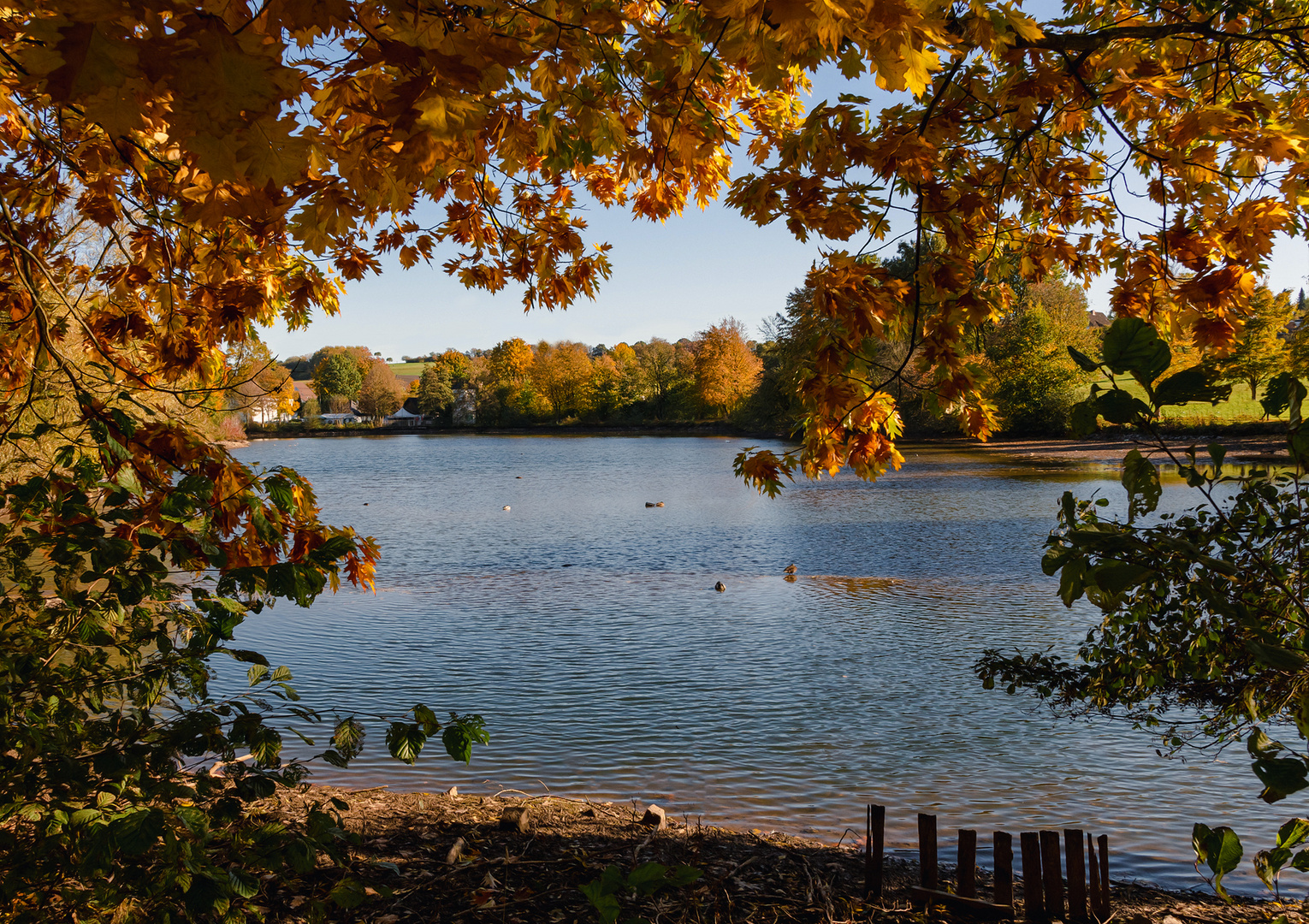 Mit Durchblick zum See