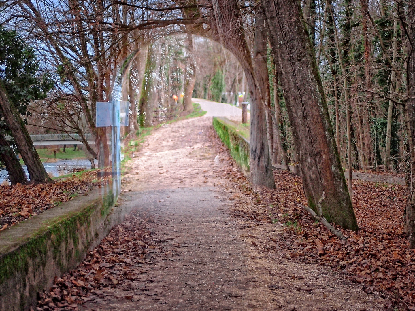 mit Durchblick.."Maybe"..deep inside the forest Is a door into another land