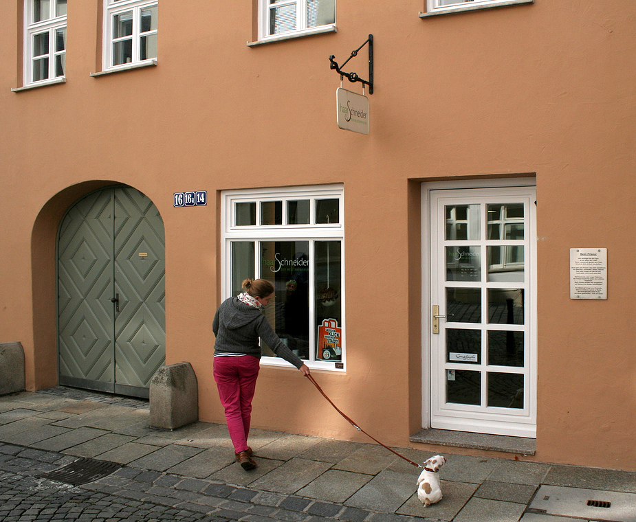 Mit einem alphabetisierten Hund