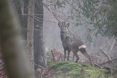 Mit einem Auge....