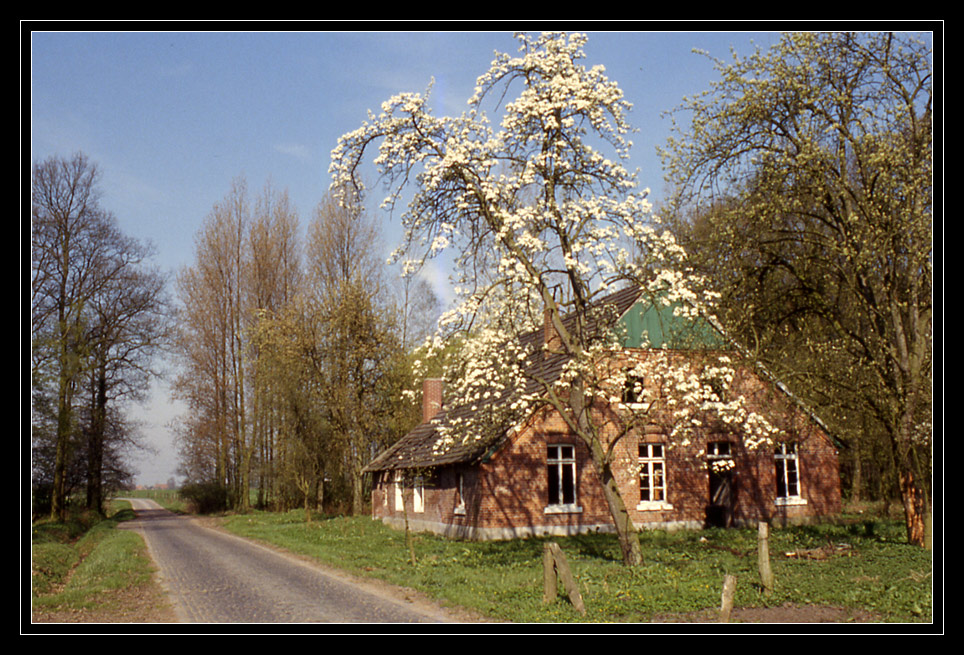 mit einem Frühlingsbild