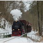 Mit einem Güterzug auf der Bere-Brücke vor Eisfelder Talmühle