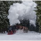 Mit einem Güterzug durch den verschneiten Wald bei Elend