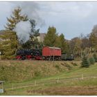 Mit einem kurzen Güterzug im herbstlichen Neudorf 