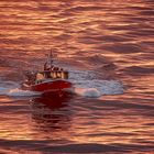 Mit einem Lobster-Boot in den Morgen