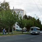 Mit einem solchen Bus ist Mutti noch zur Schule gefahren