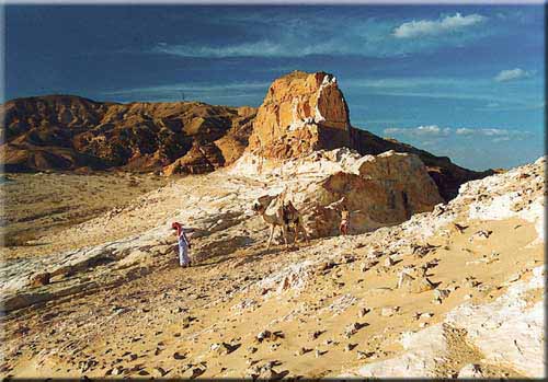 Mit einem Wüstenschiff im Sinai