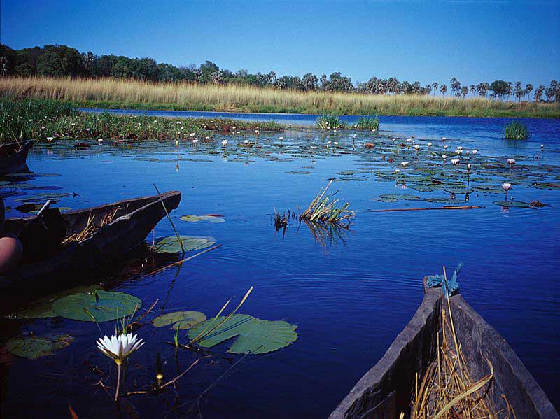 mit Einrumpfbooten im Okavango-Delta, Botswana