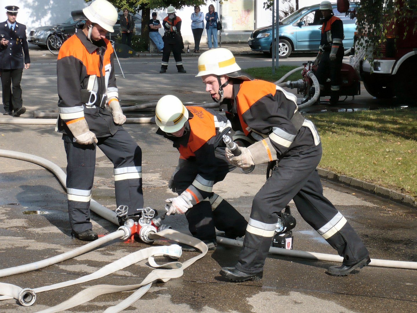 mit Elan bei der Sache II