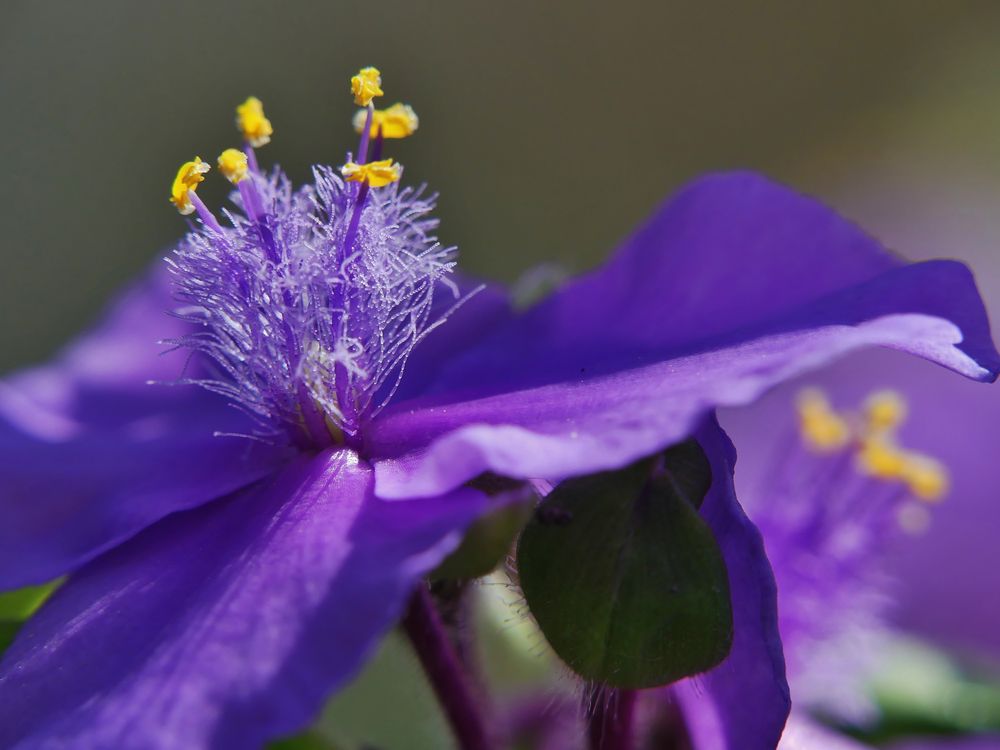 Mit etwas Blau gegen das Grau......