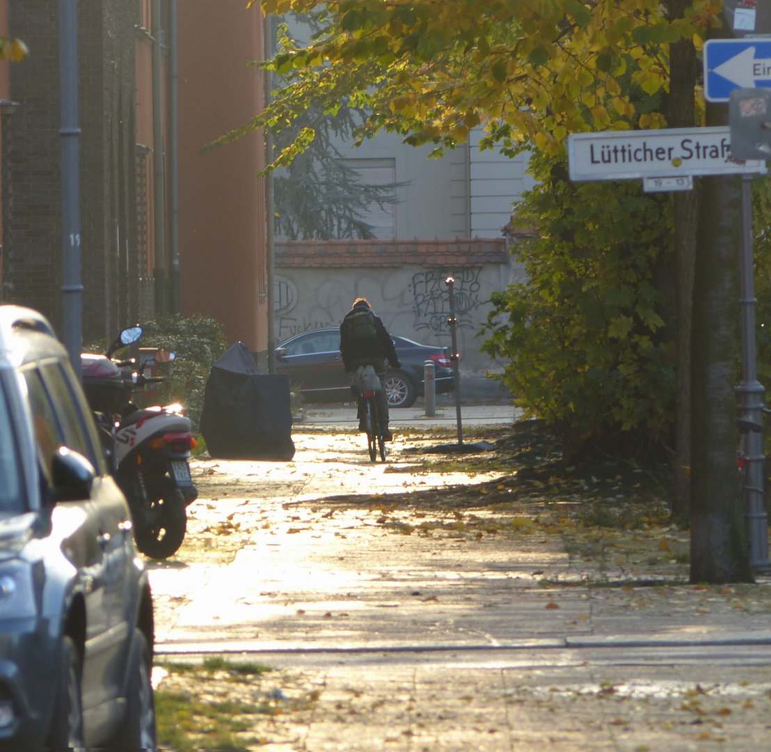 Mit Fahrrad im Herbst