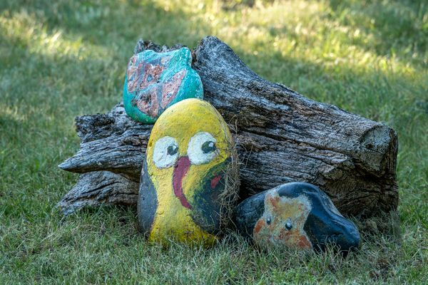 Mit Fantasie den Kleingarten gestalten