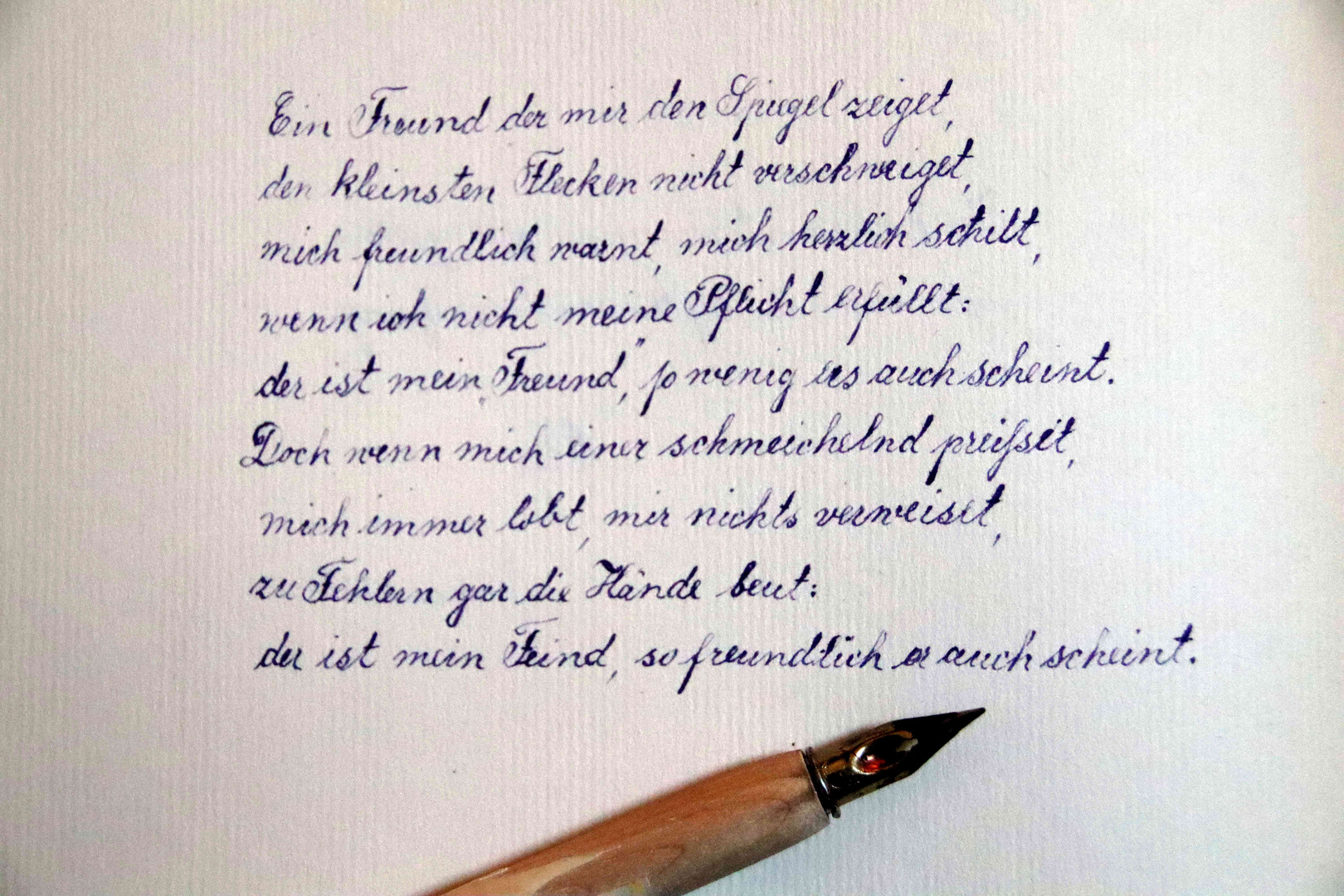 Mit Feder und Tinte (Mirko Pless)