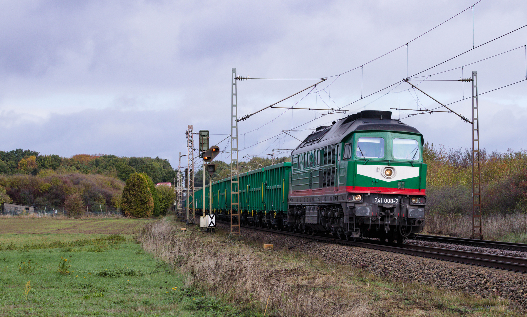 Mit Feinstaub durch den grauen Herbst