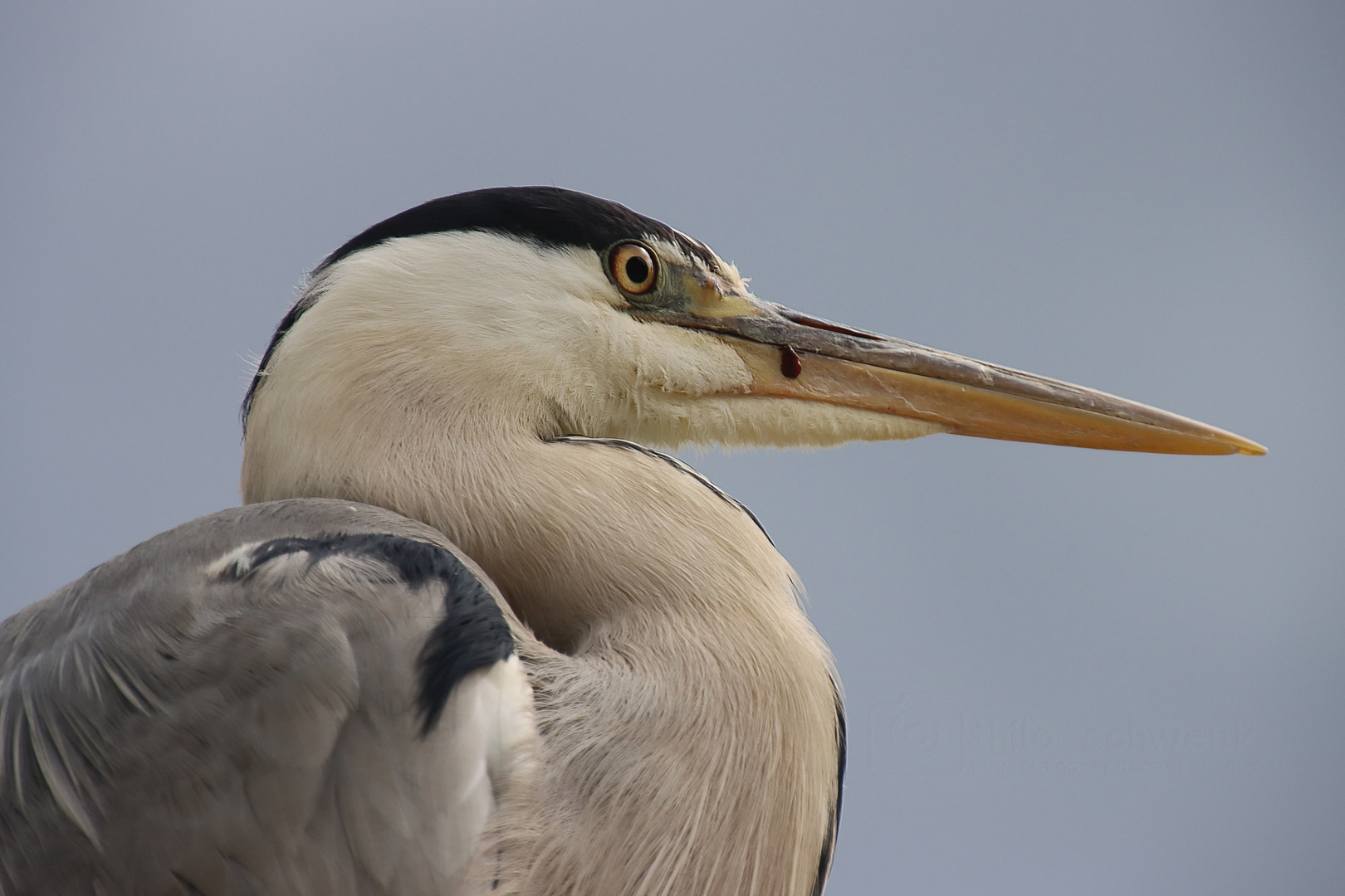 mit festem Blick ...