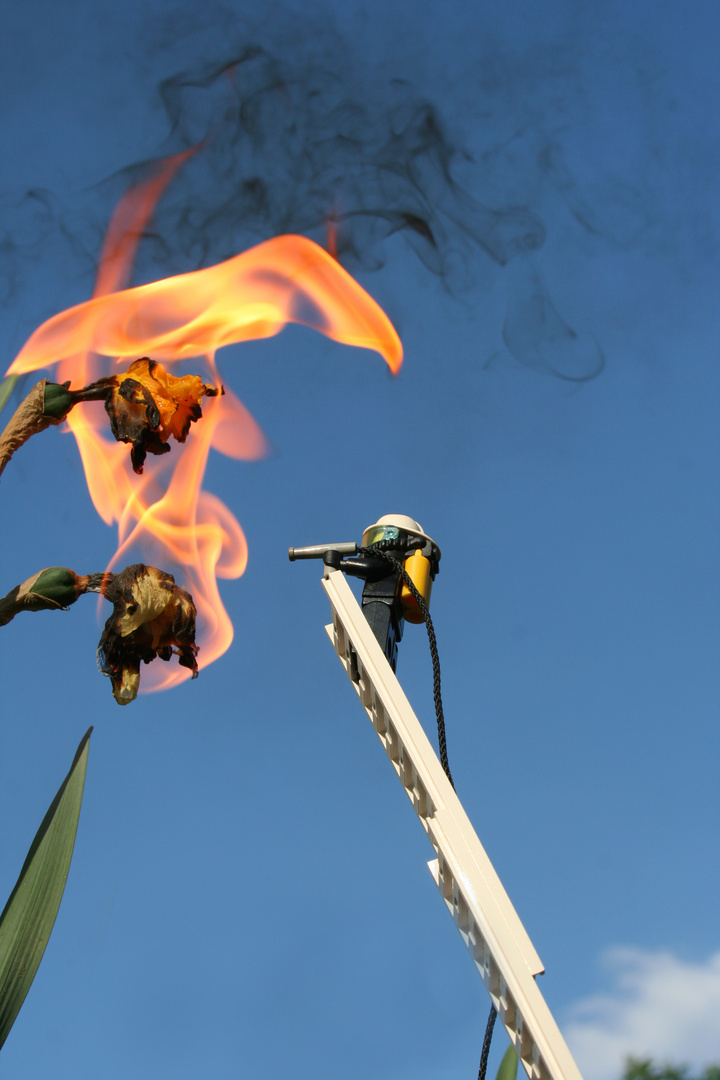 mit Feuer spielt man nicht