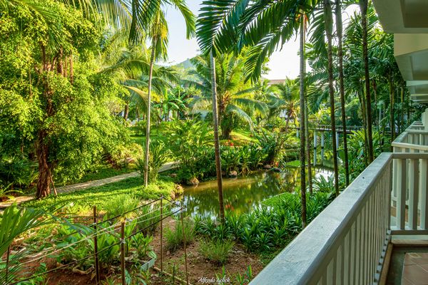 Mit freien Durchblick.