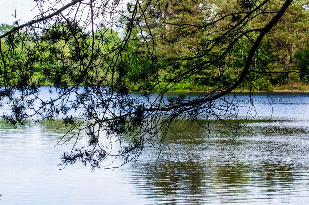 mit Freunden am See