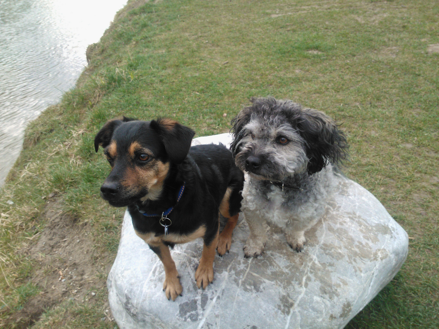 Mit Freunden an der Isar