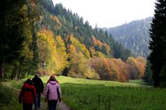 mit Freunden im Thüringen Wald spazieren