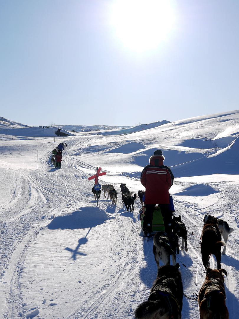 Mit Freunden unterwegs in schwedisch Lappland......