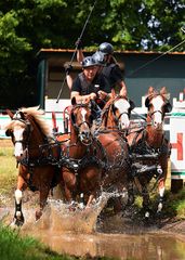 mit full speed ins kühle Nass (Eiershagen 02.07.23)