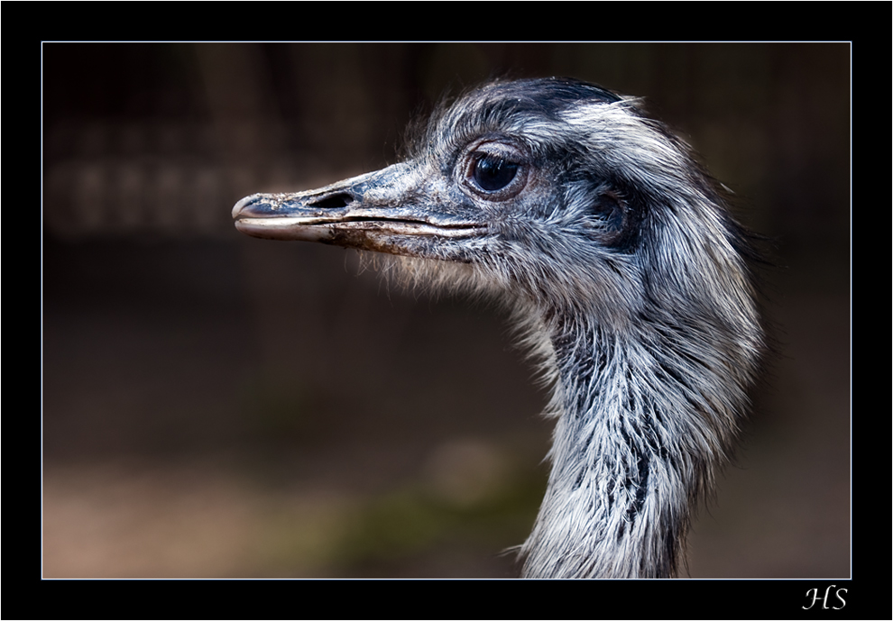 Mit großen Augen