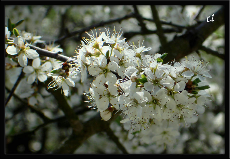 Mit großen Schritten in den Frühling