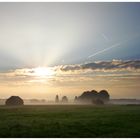 Mit großen Schritten kommt der Herbst