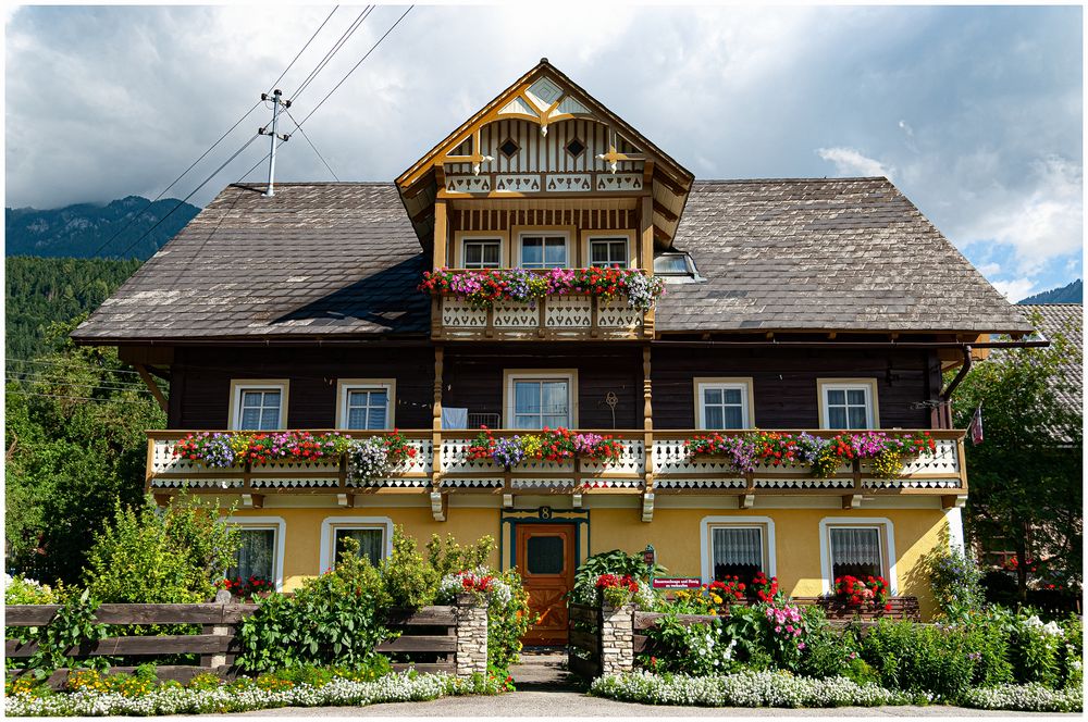 Mit grünen Daumen ! Foto &amp; Bild fenster, haus