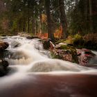 Mit Gummistiefeln in der Bode