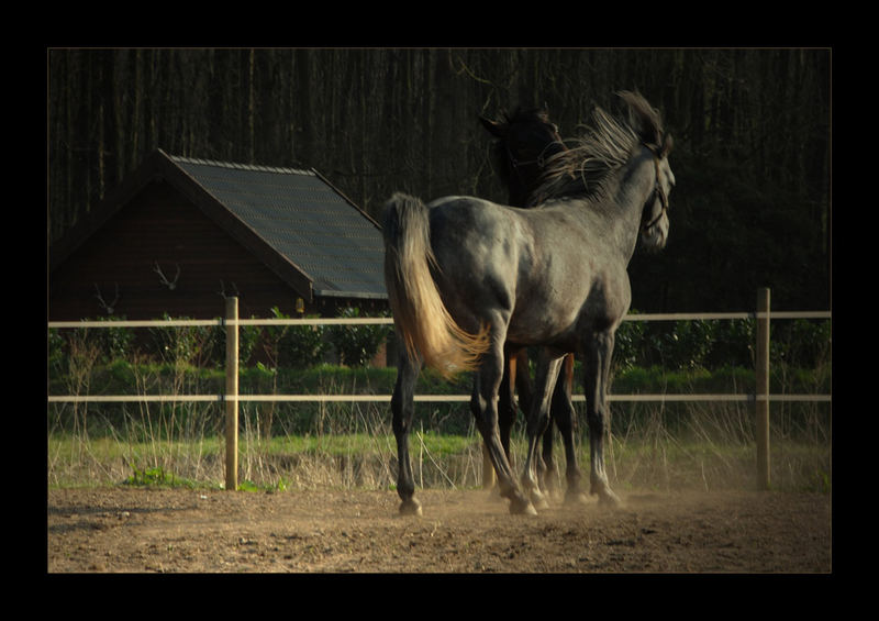 mit Haut und Haar sein…