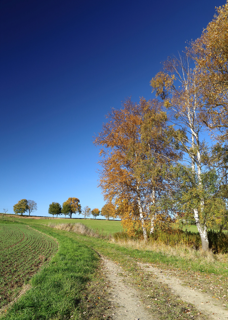 Mit herbstlichen Grüßen...