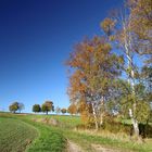 Mit herbstlichen Grüßen...