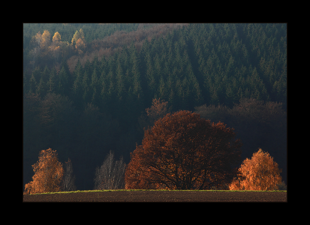 ...mit herbstlichen Grüßen... - oder: Herbst-Echo...