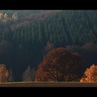 ...mit herbstlichen Grüßen... - oder: Herbst-Echo...