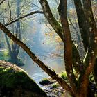 Mit Herbstsonne entlang der Aist