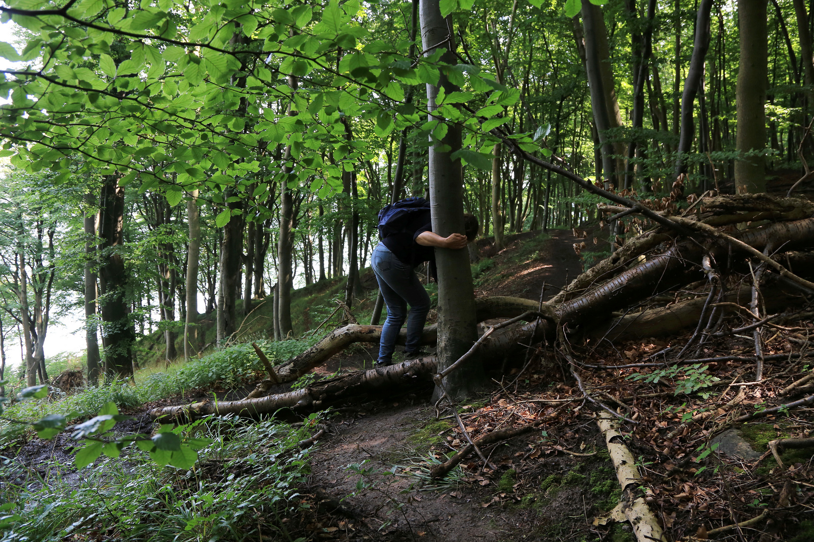 mit hindernis Foto & Bild | deutschland, europe, mecklenburg