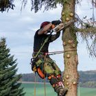 Mit Holzfällern auf Augenhöhe 