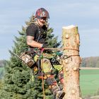 Mit Holzfällern auf Augenhöhe 