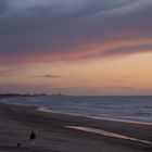 mit Hund am Strand