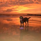 Mit Hund am Strand