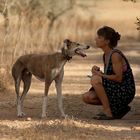 Mit Hunden flüstern