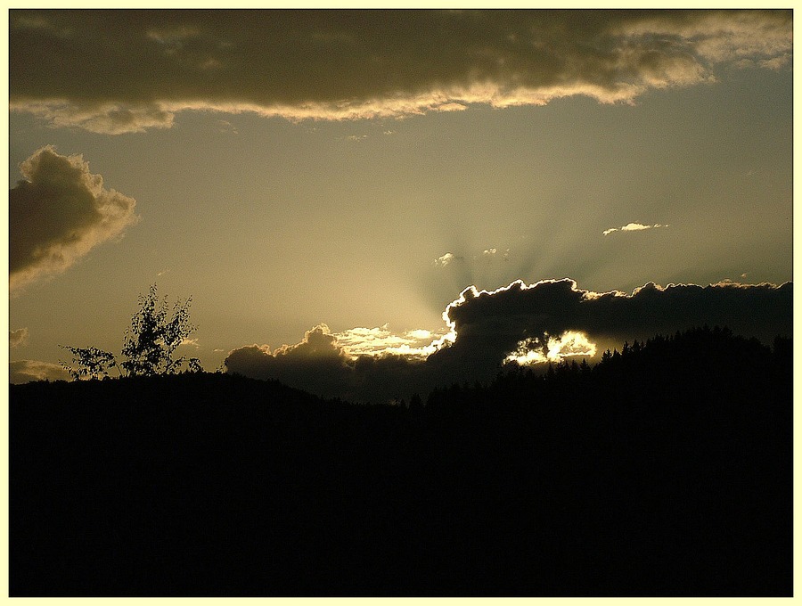 Mit Impressionen aus dem Schwarzwald....