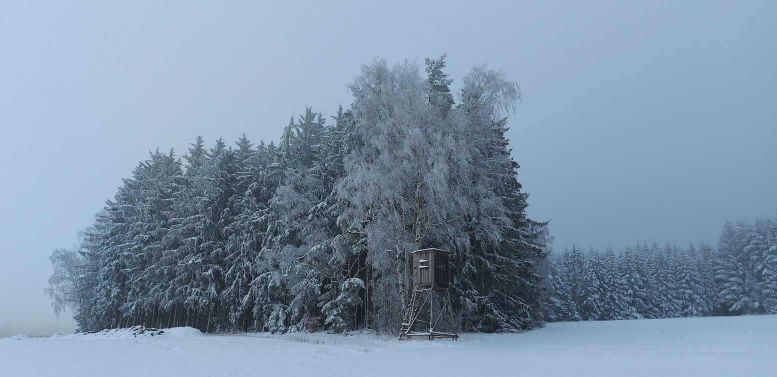 mit Kalenderentsprechender Schneedecke 