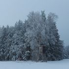 mit Kalenderentsprechender Schneedecke 