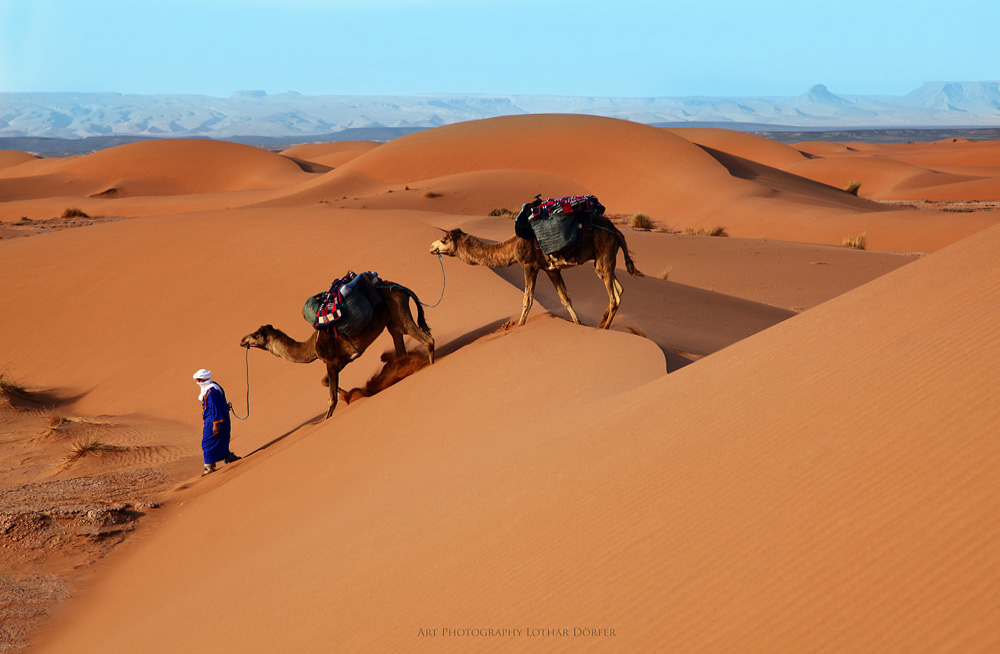 Mit Kamelen durch die Sahara II